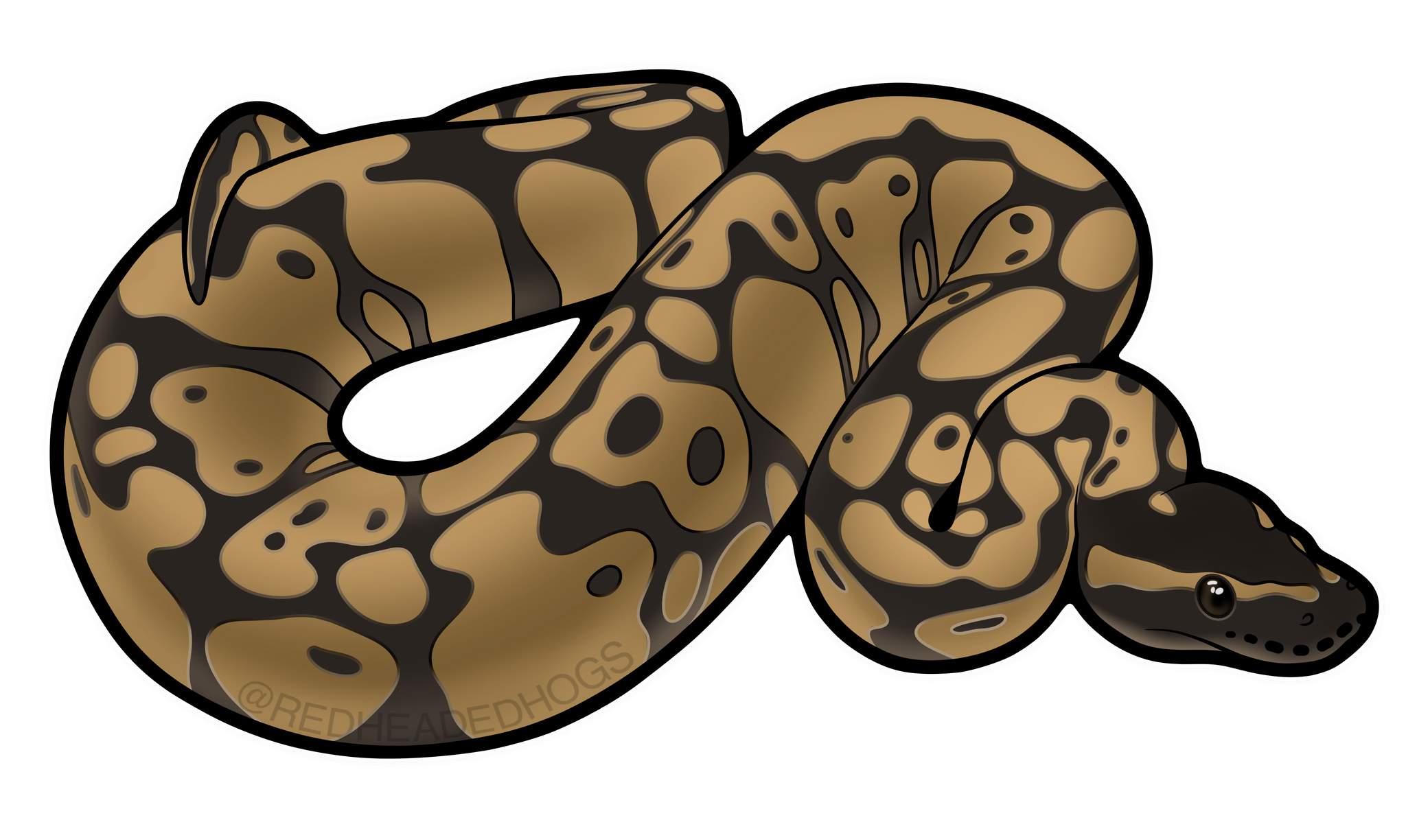 Normal Ball Python artwork