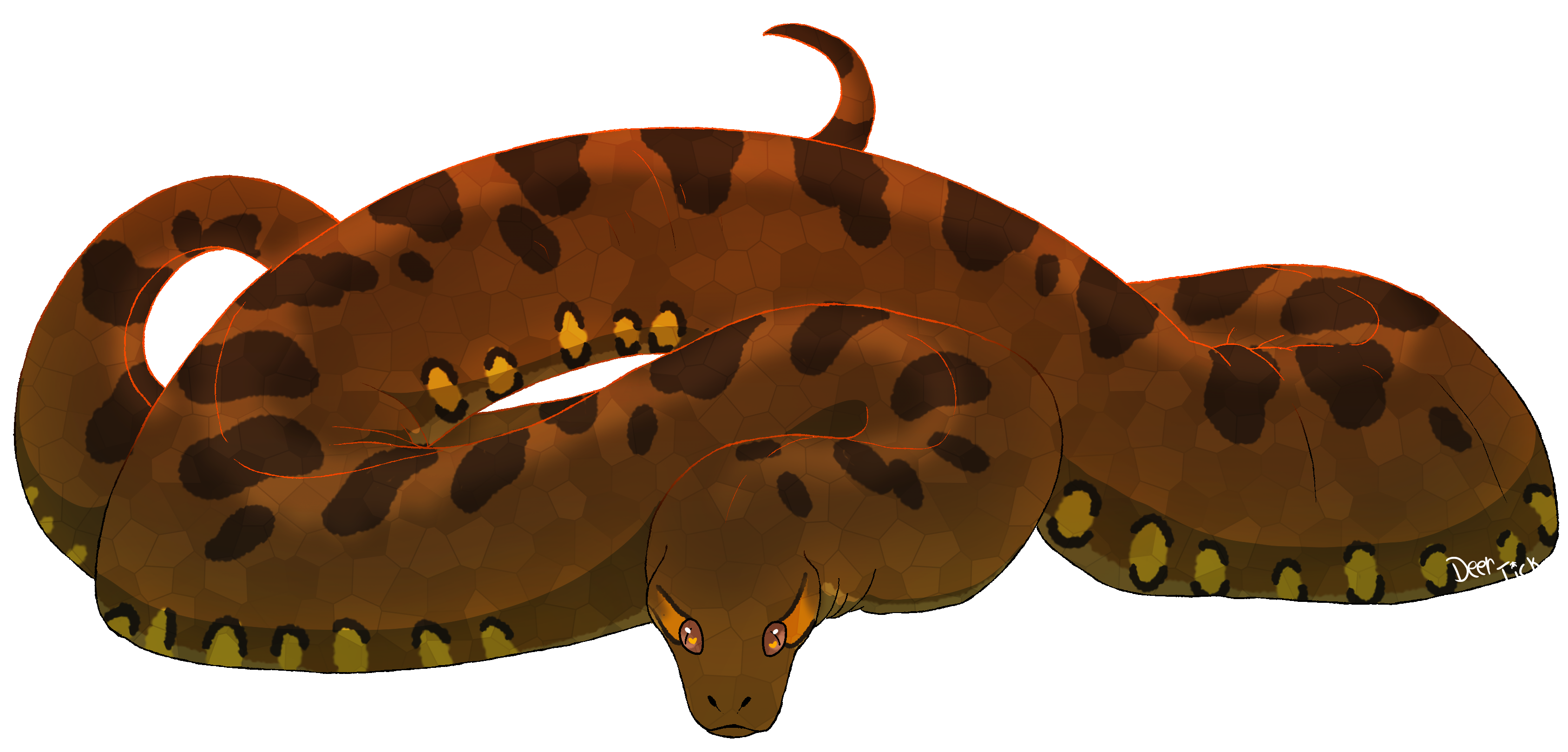 Green Anaconda artwork