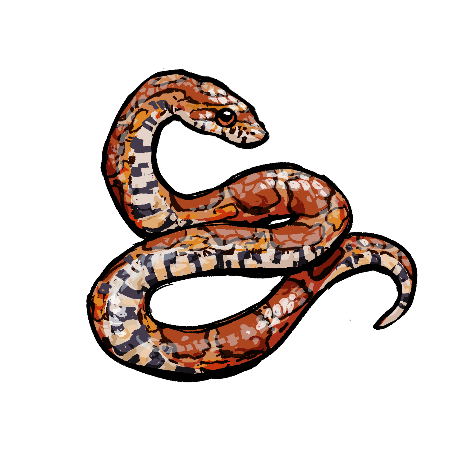 Corn Snake artwork
