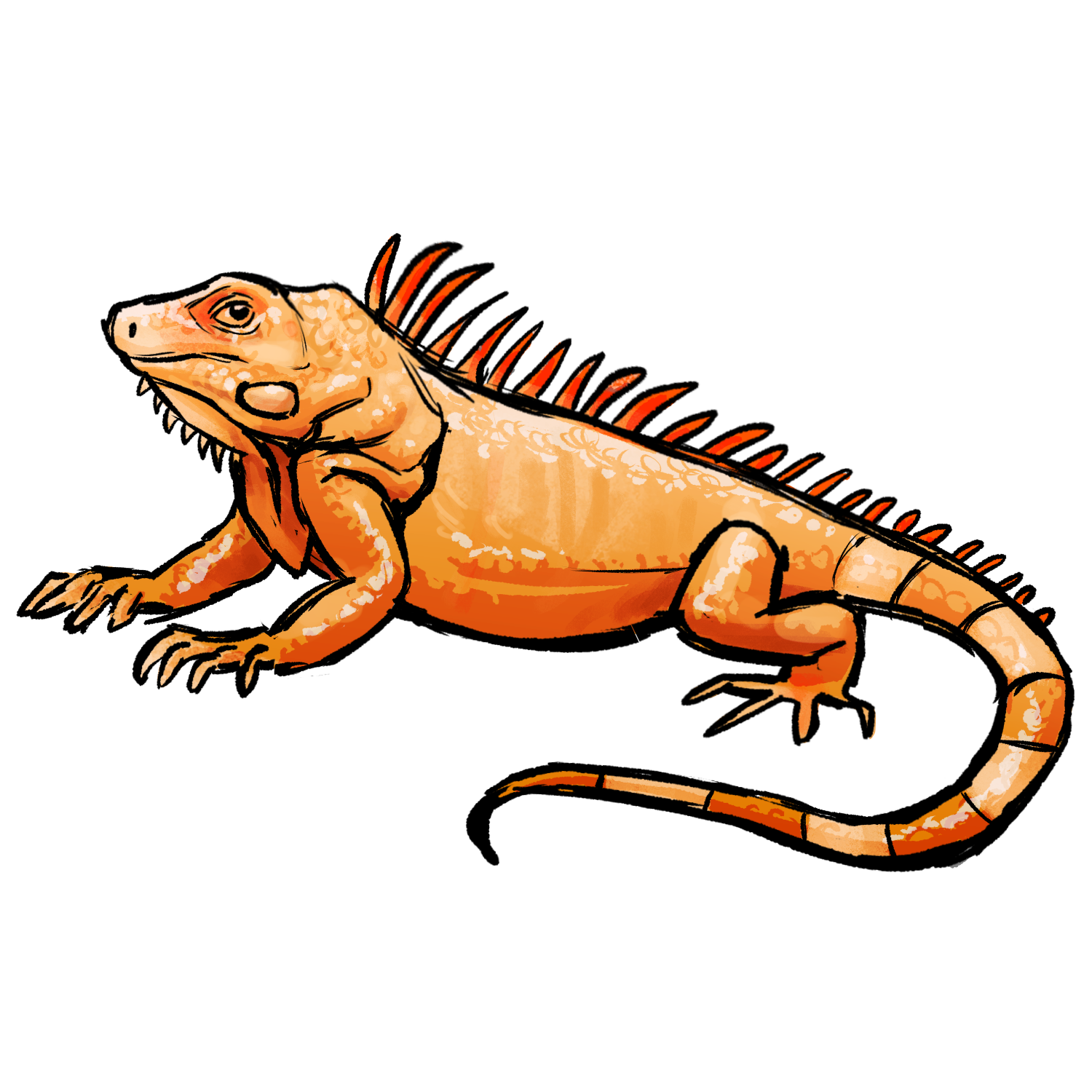 Crutchfield Albino Green Iguana artwork