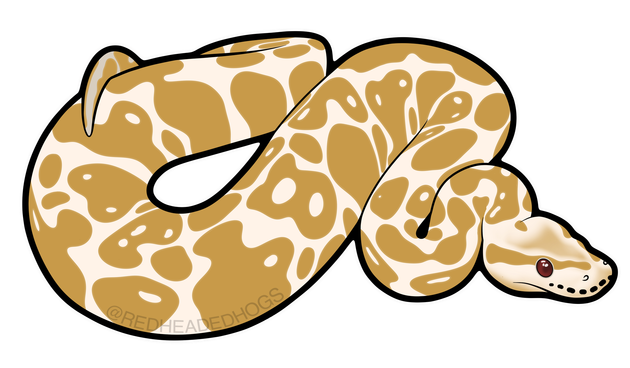 Albino Ball Python artwork