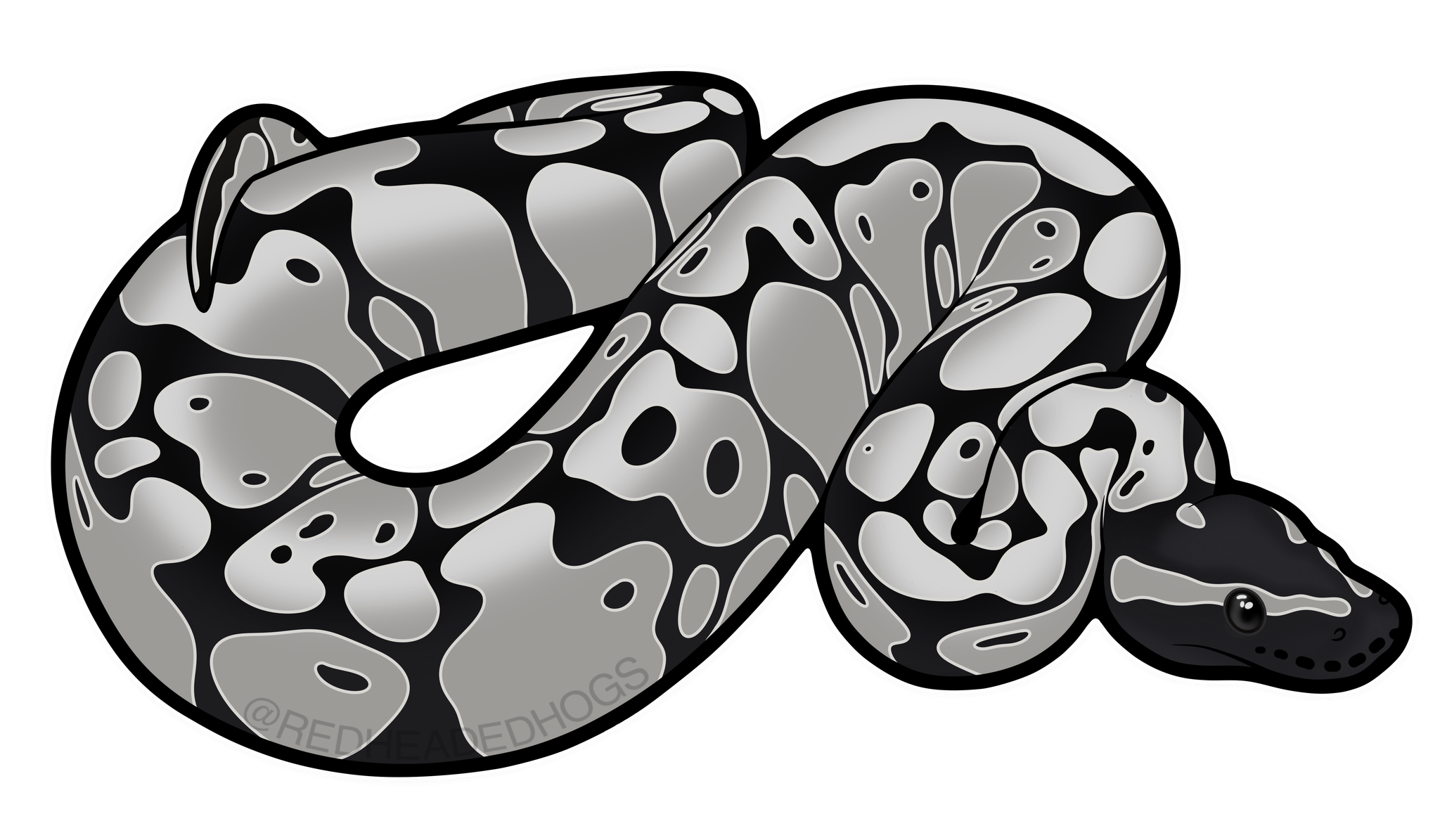 Axanthic Ball Python artwork
