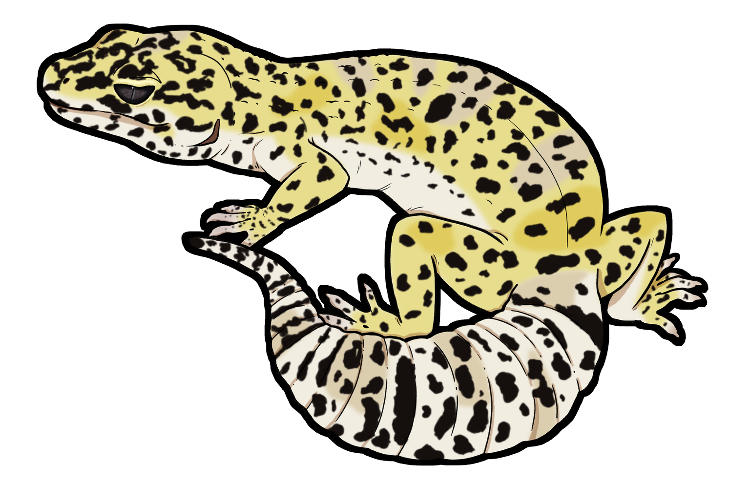 Leopard Gecko artwork
