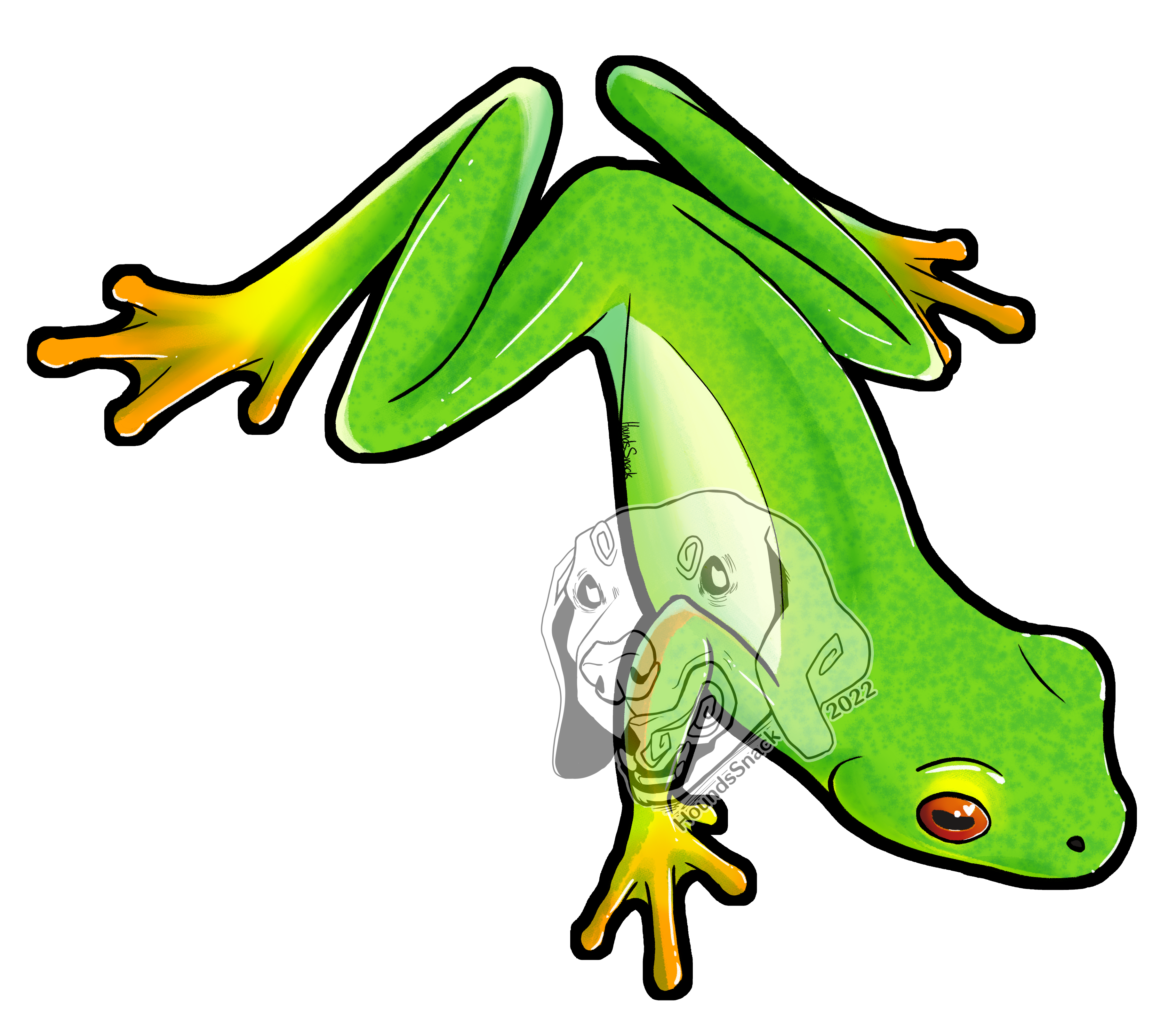 Bush Frog artwork