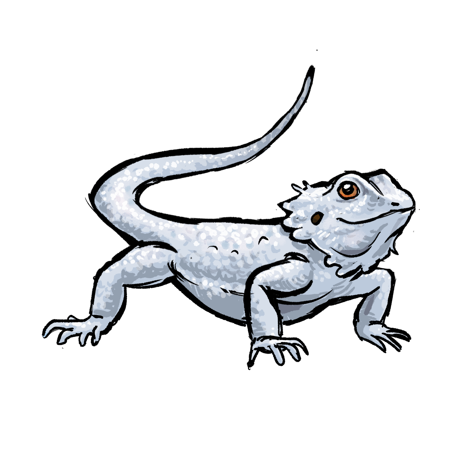 Zero Bearded Dragon artwork