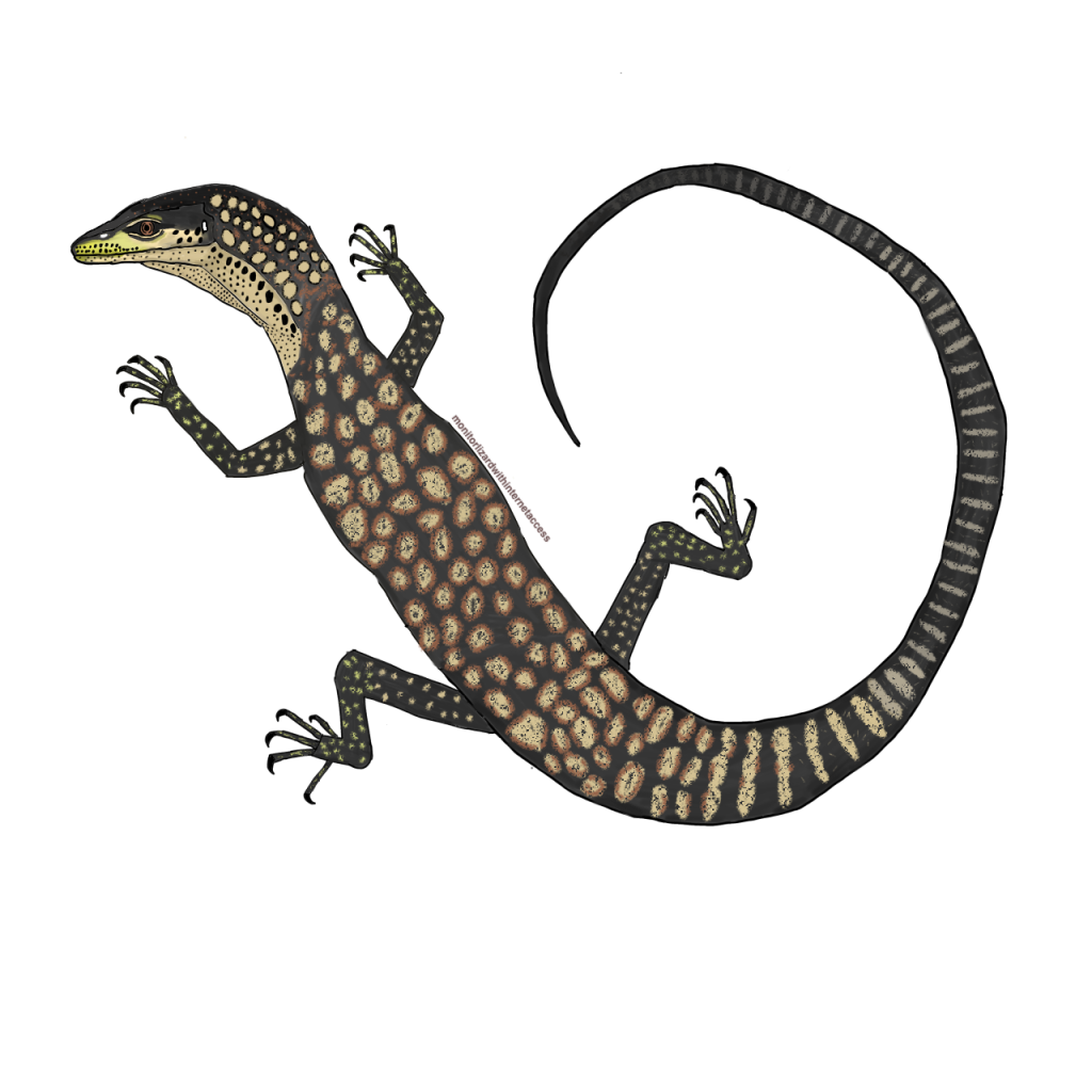 Lockhart Locale Banded Tree Monitor artwork