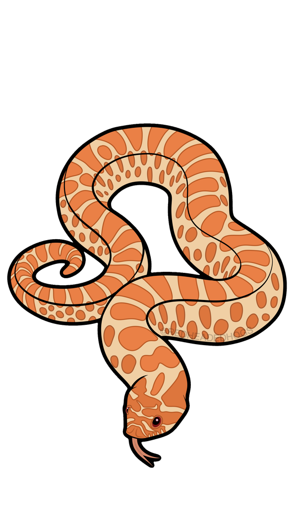 Albino Western Hognose Snake artwork