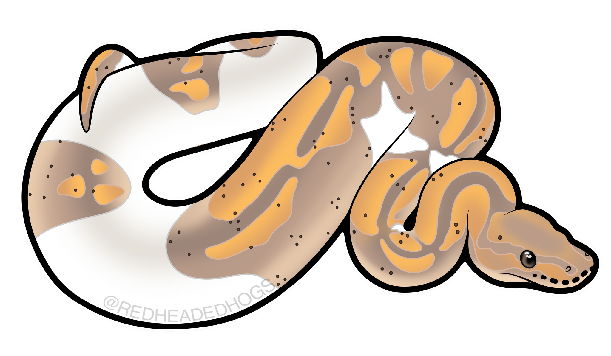 Banana Pied Ball Python artwork