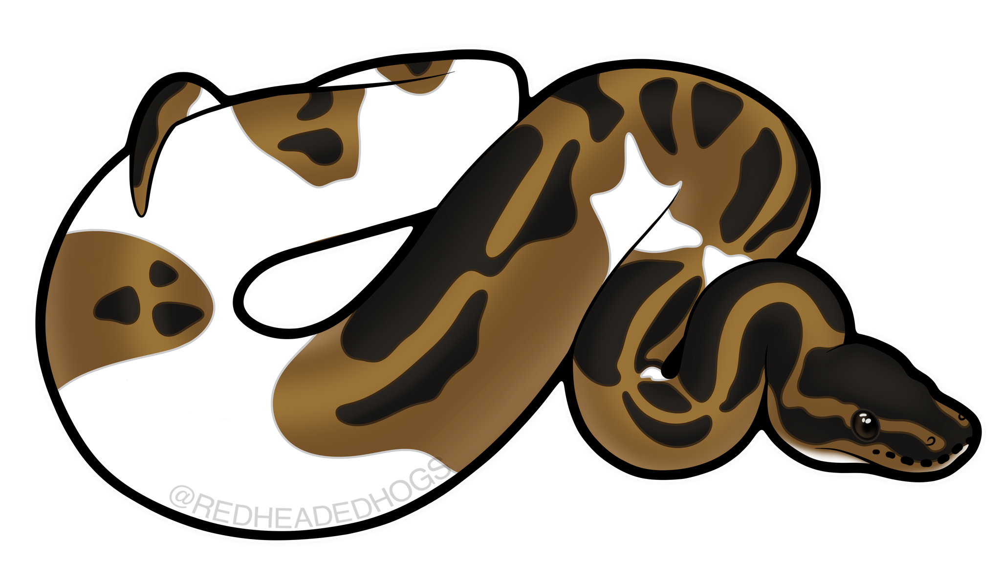Pied Ball Python artwork