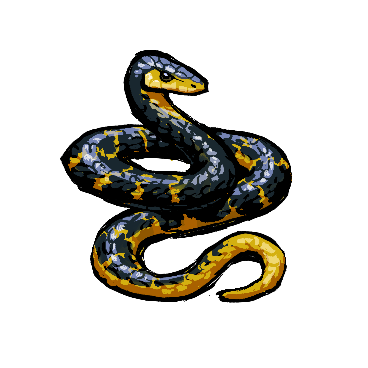 Yellow Tail Cribo artwork