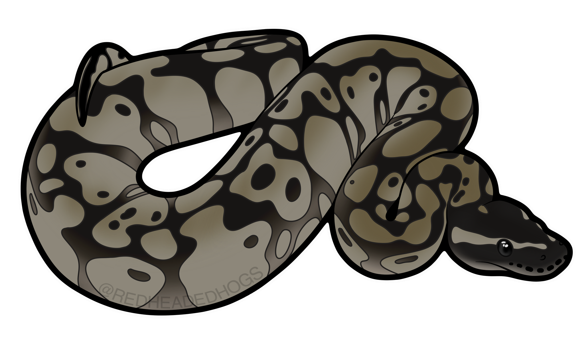 Mojave Ball Python artwork