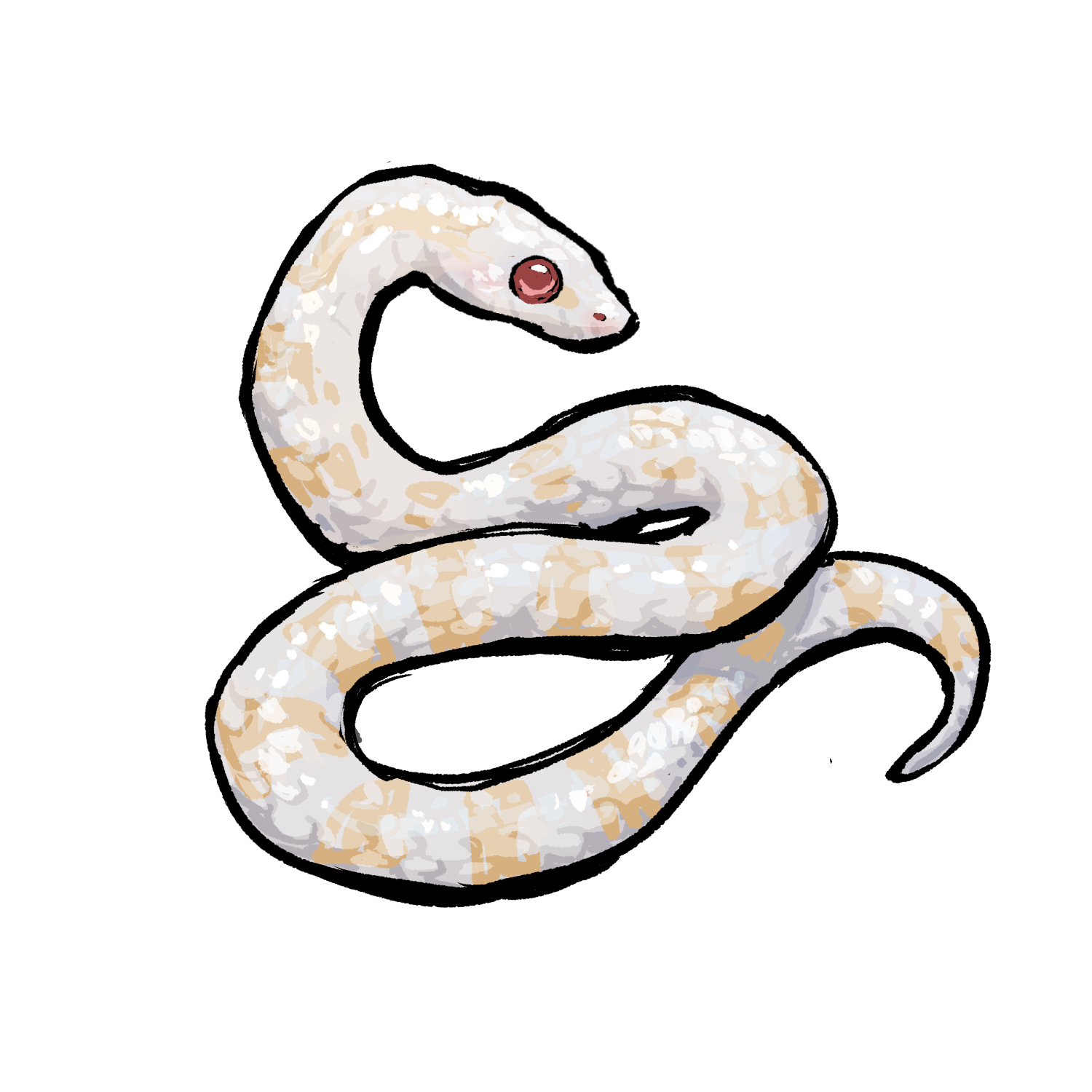 Snow Corn Snake artwork