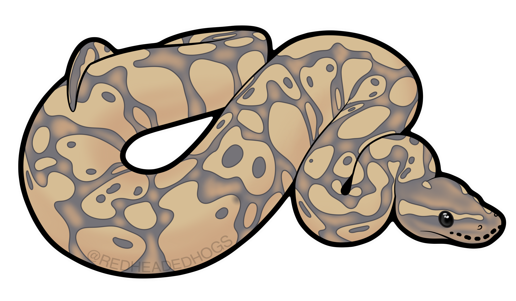 Hypo Ball Python artwork