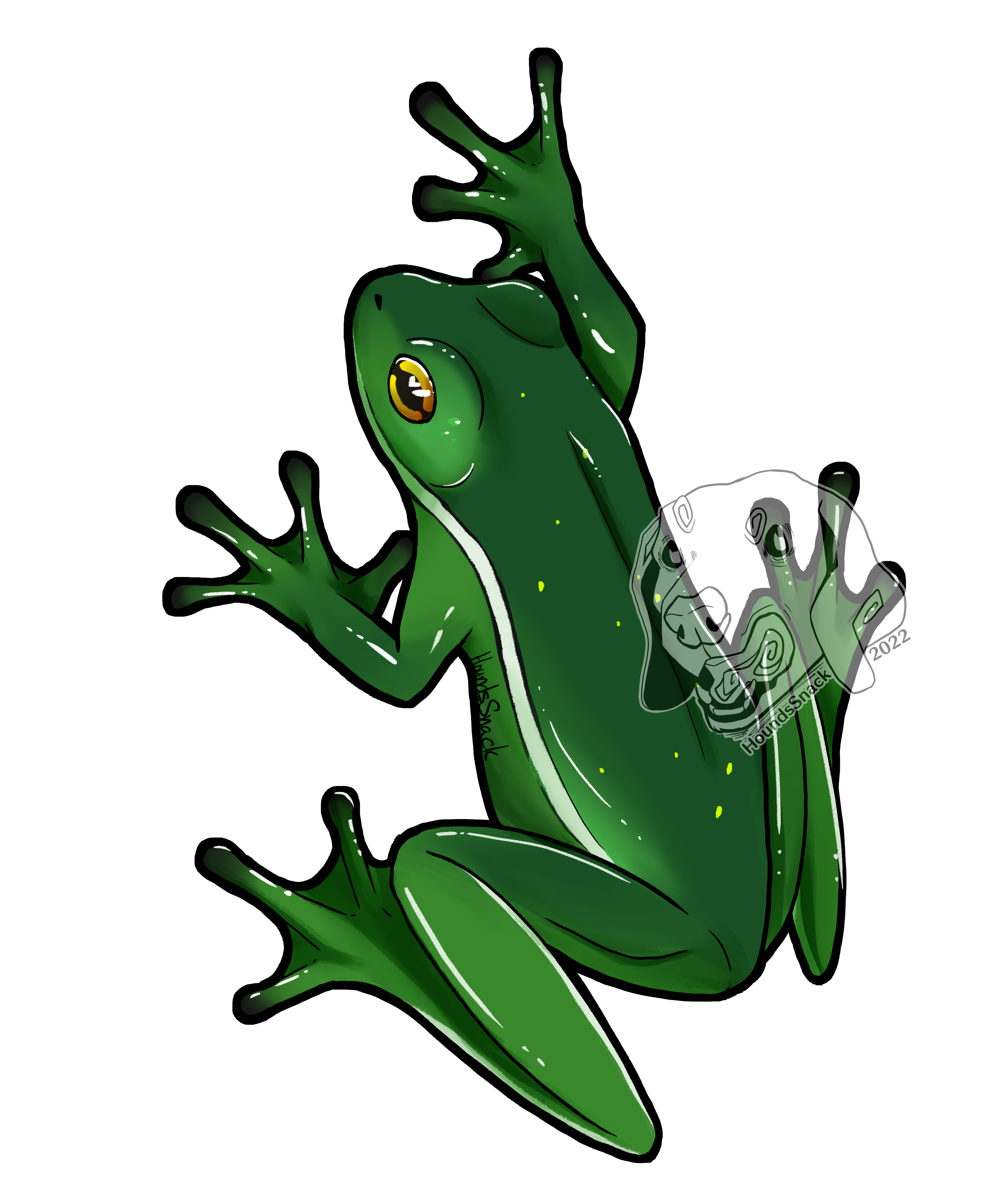 Green Tree Frog artwork