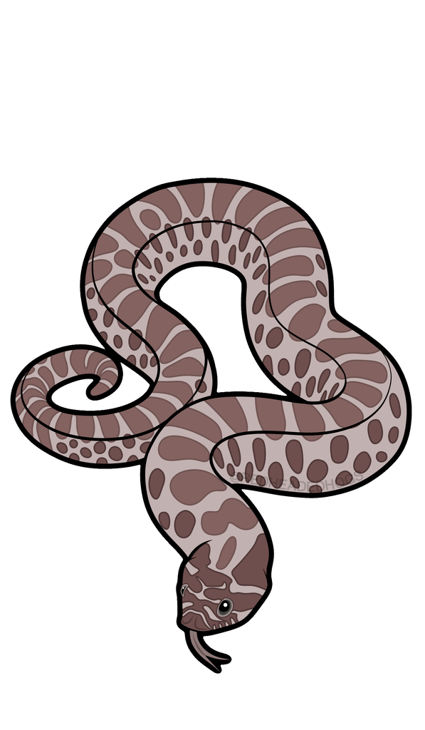 Lavender Western Hognose Snake artwork