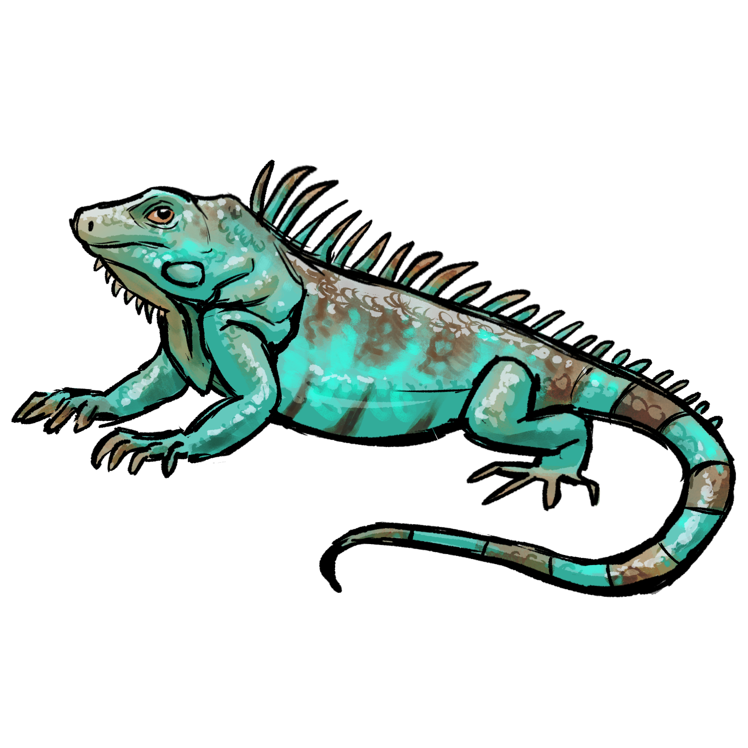 Blue Iguana artwork