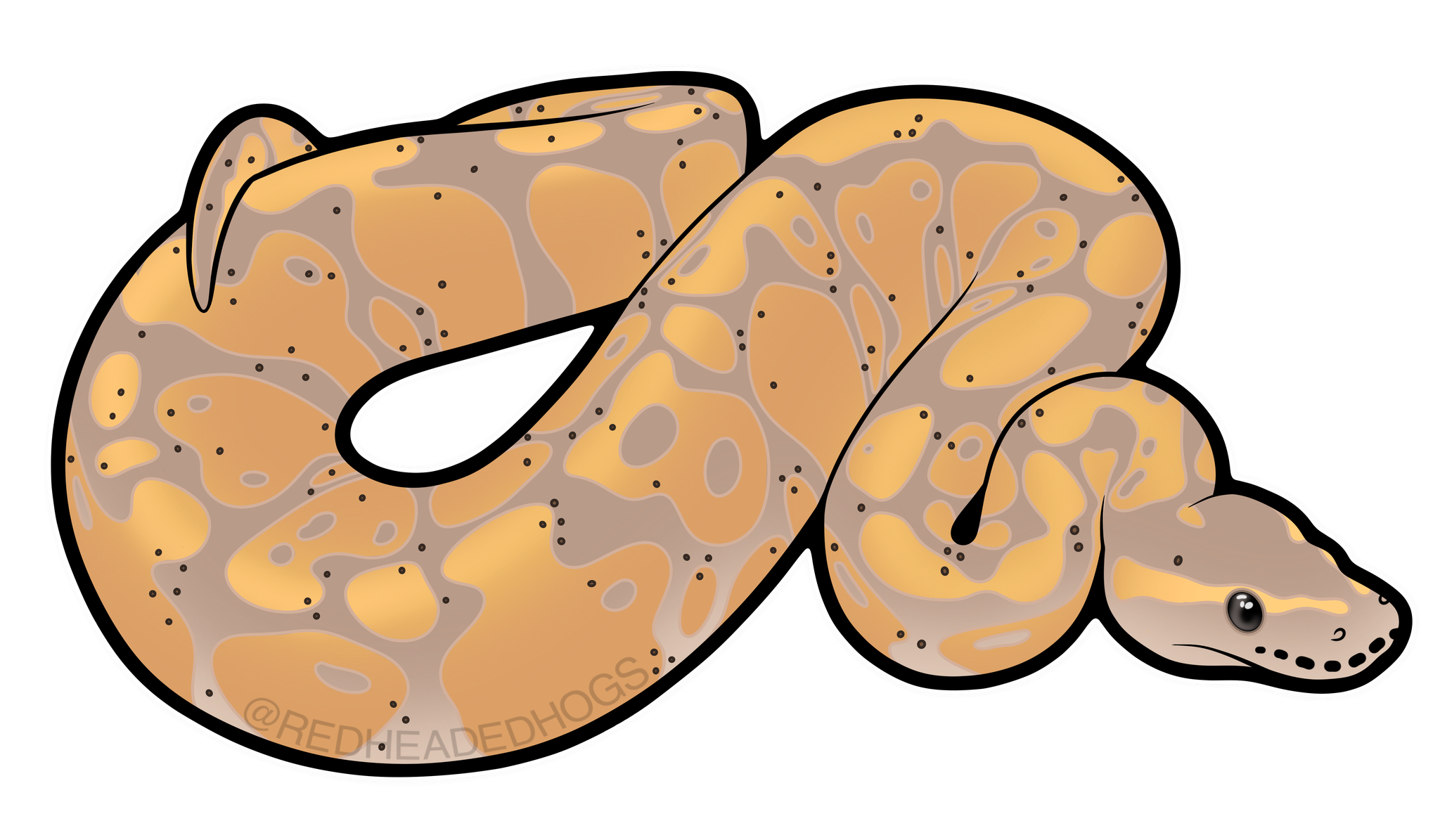 Banana Ball Python artwork