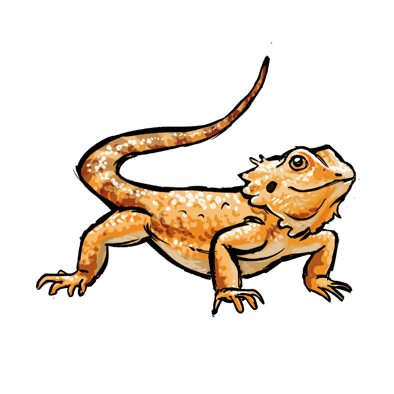 Bearded Dragon artwork