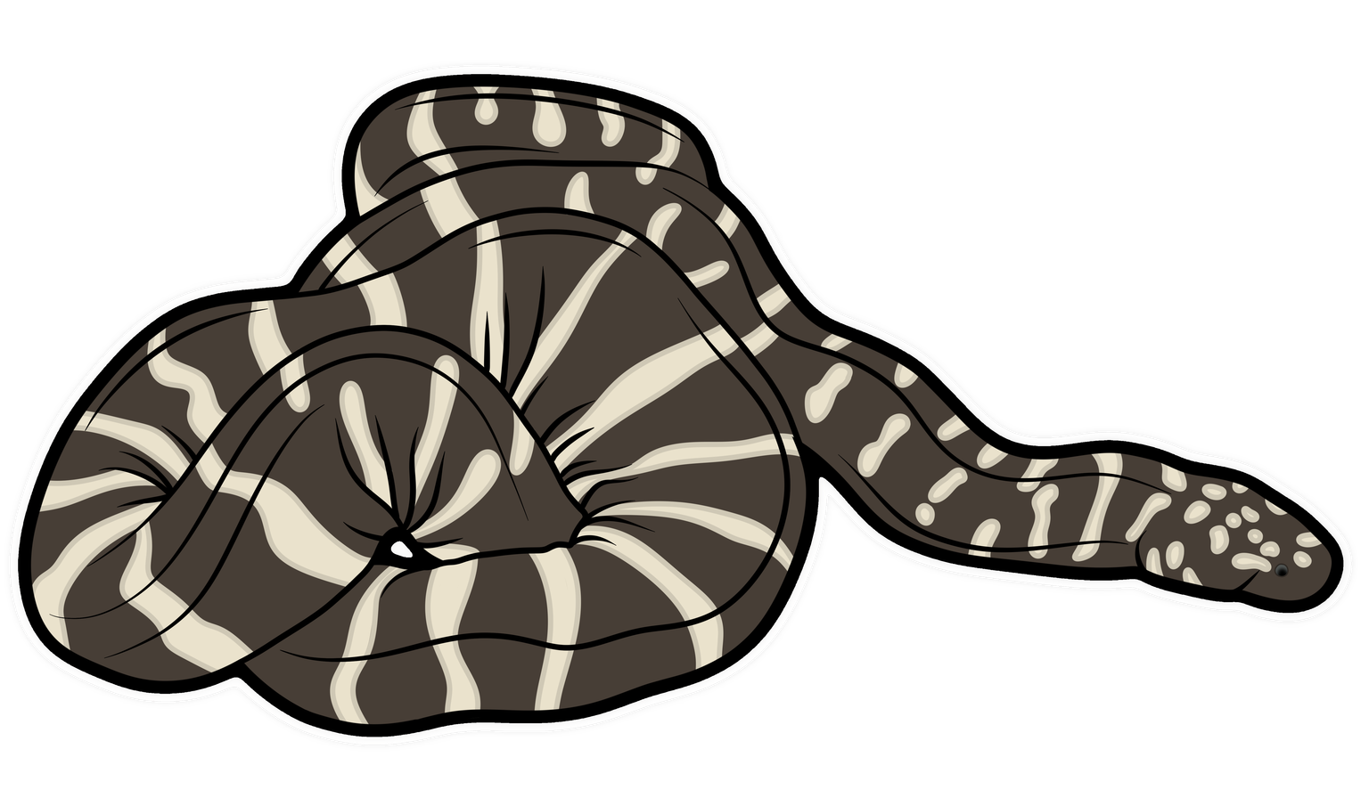 Marine File Snake artwork