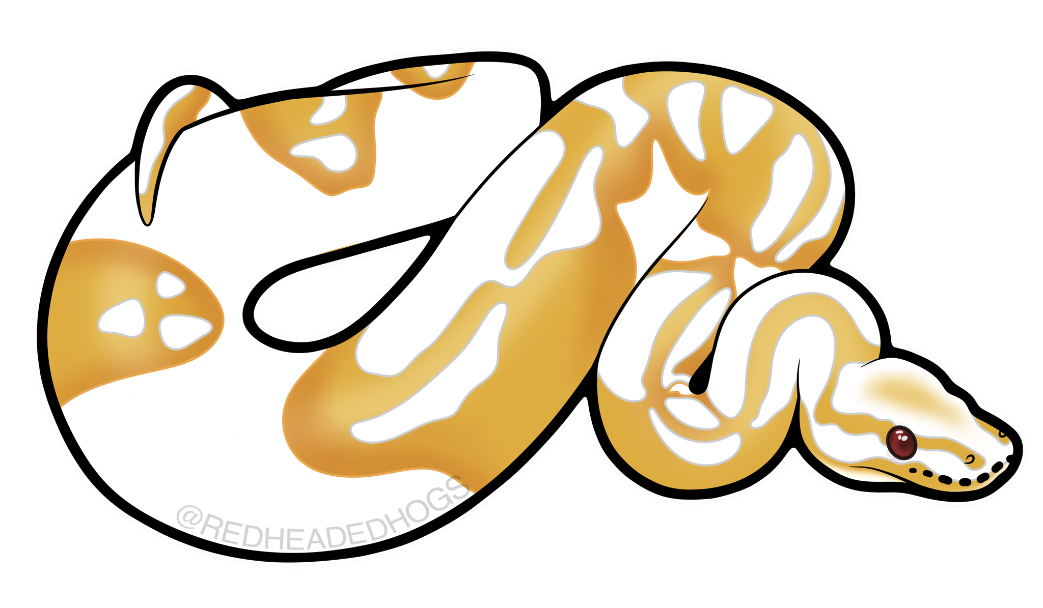 Albino Pied Bal Python artwork