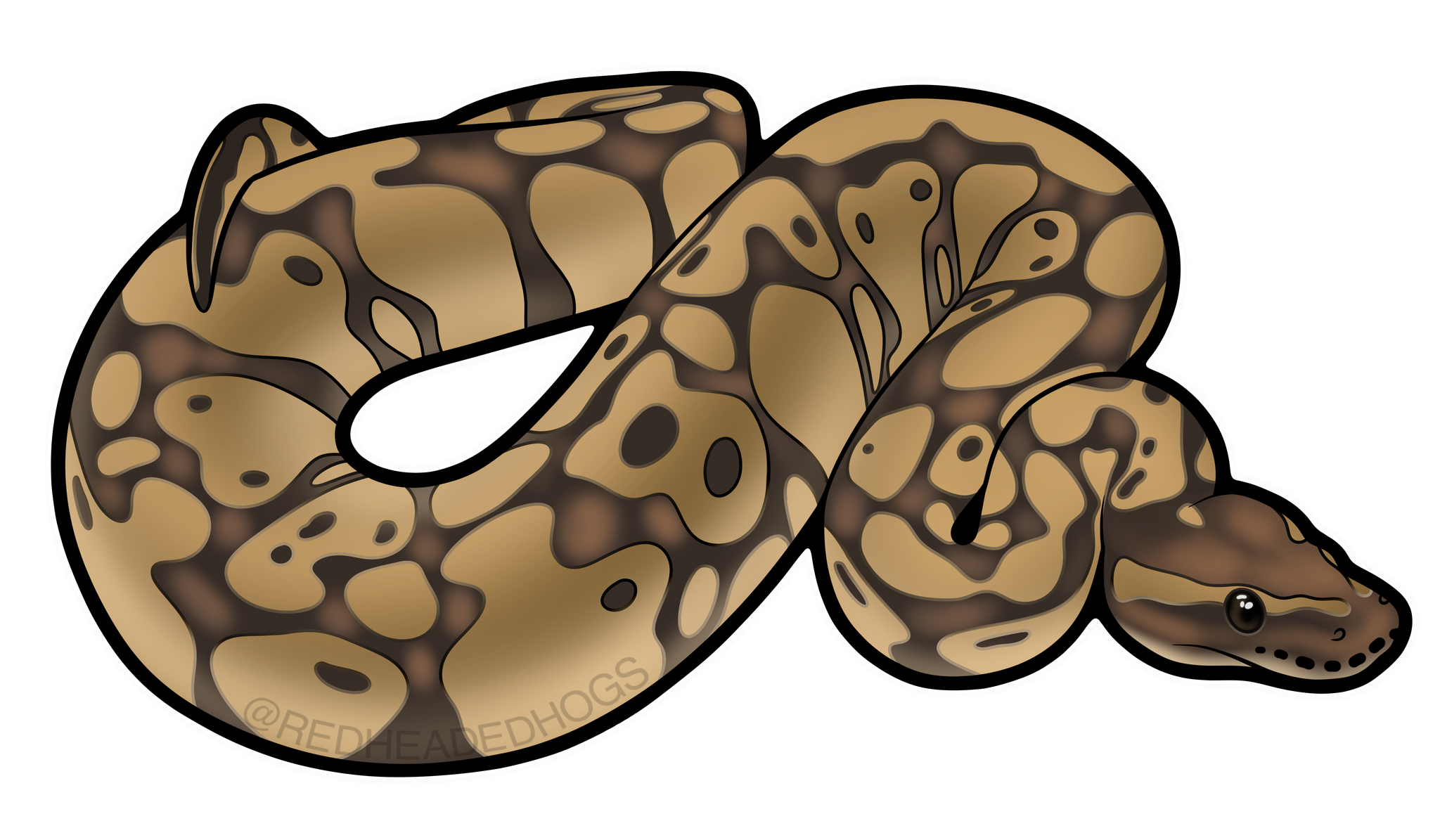 Pastel Ball Python artwork