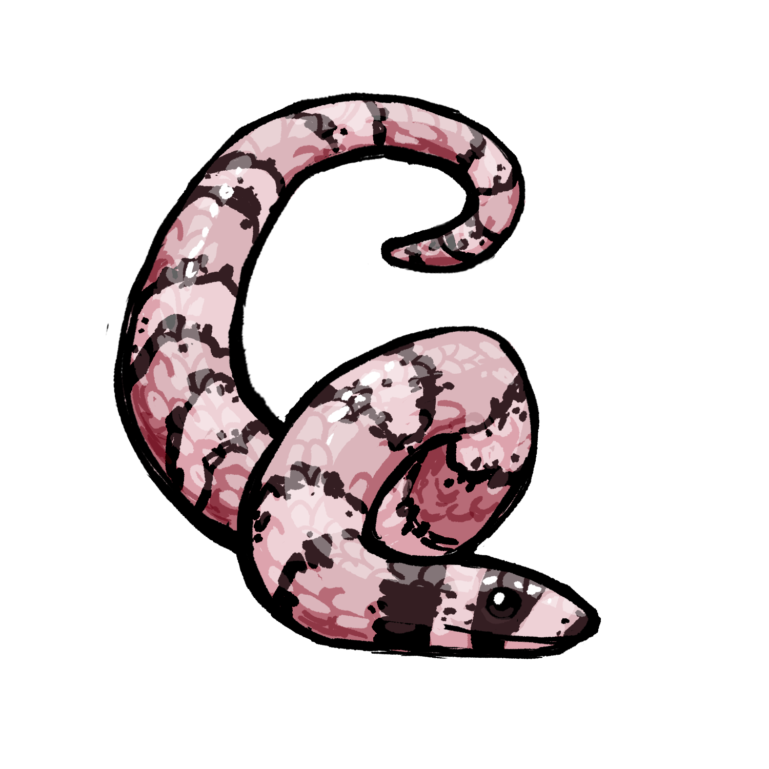 Ghost Honduran Milk Snake artwork