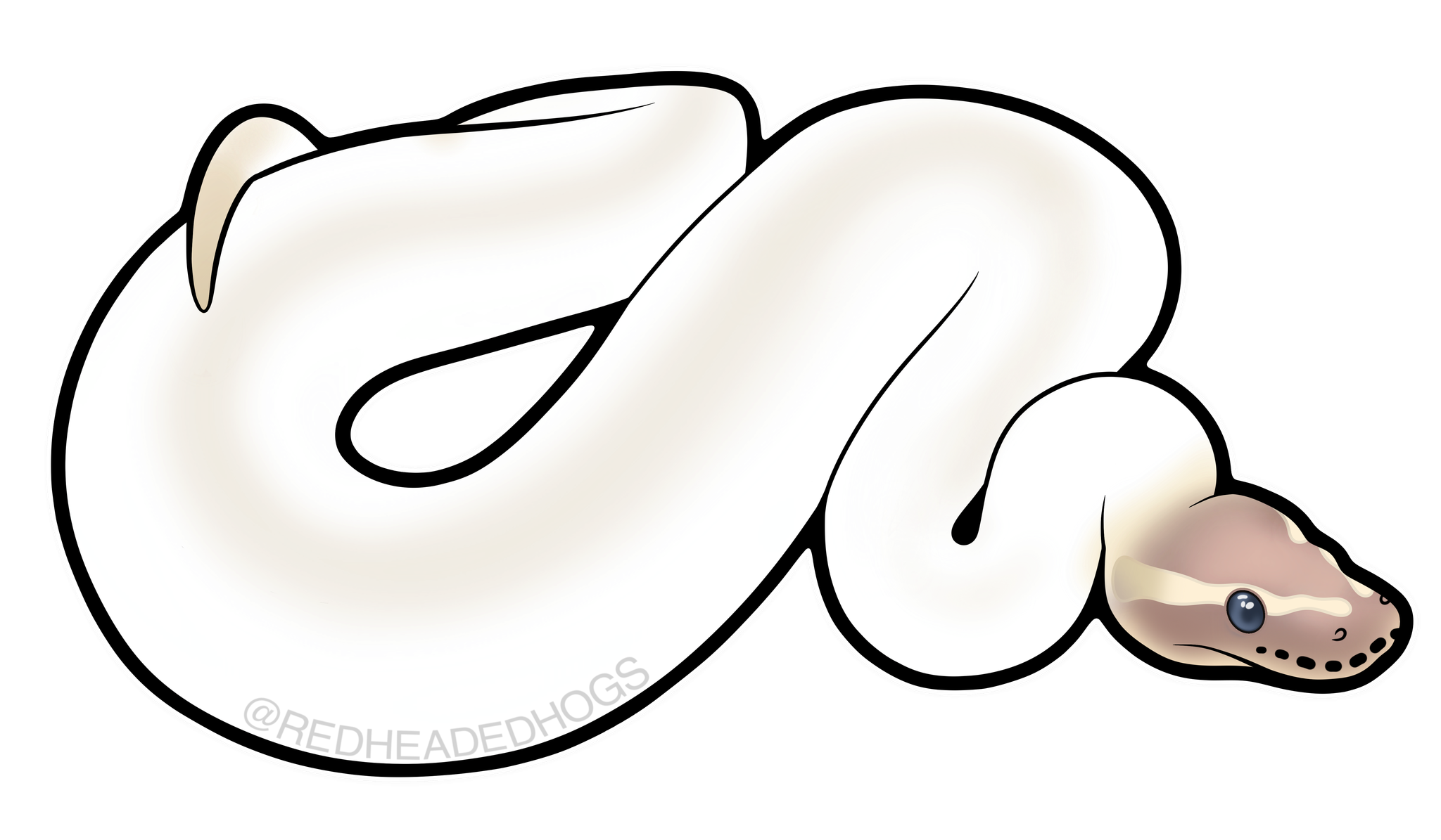 Super Mojave Ball Python artwork