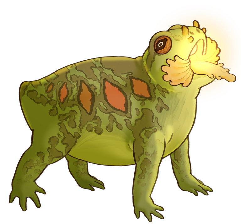 Flashlight Frog artwork