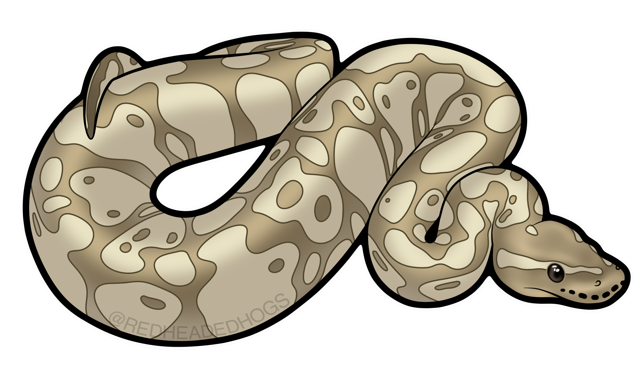 Butter Ball Python artwork