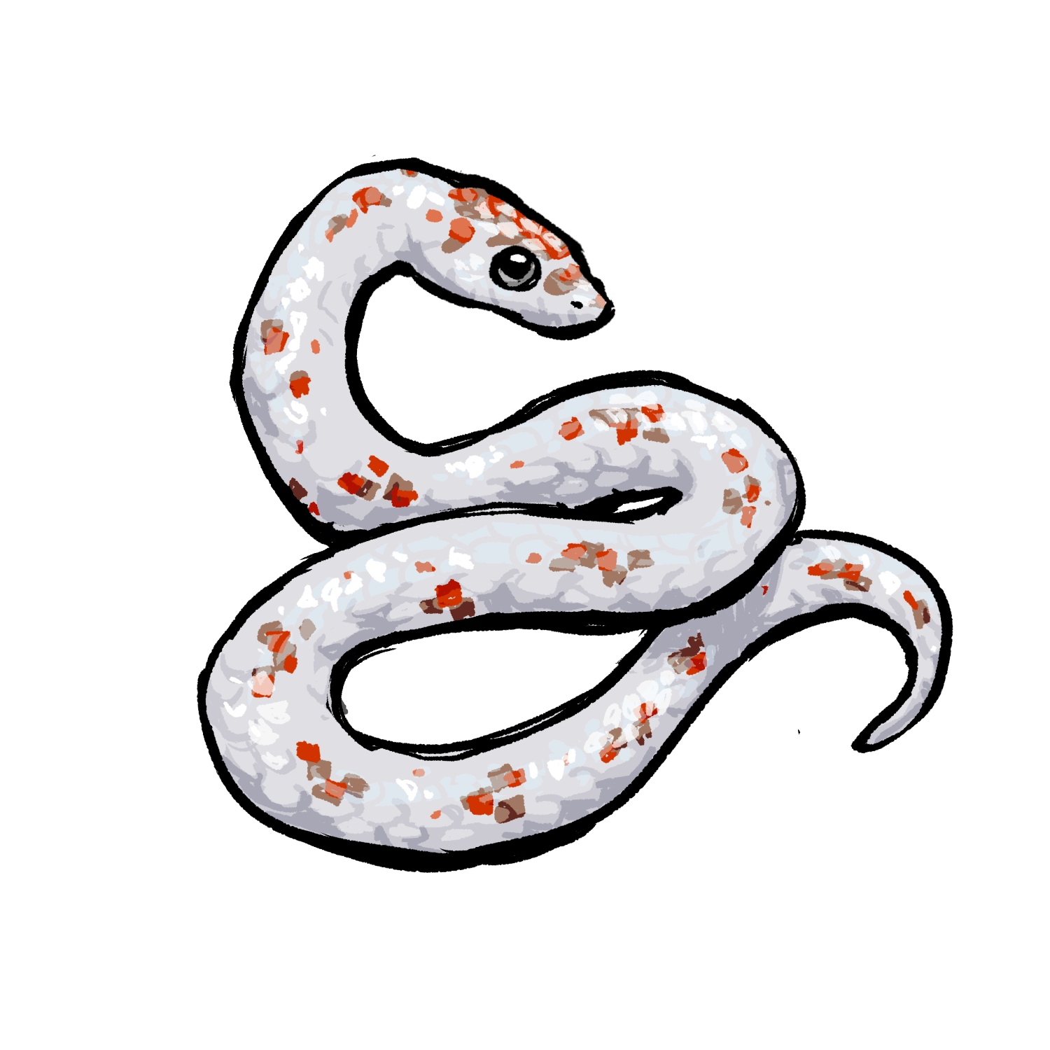 Palmetto Corn Snake artwork
